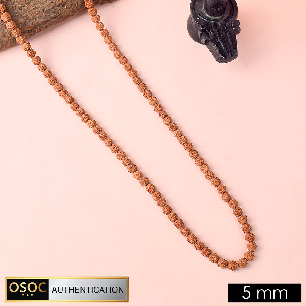 108 Beads Pathariya Rudraksh Mala for Japa and Spiritual Protection. India’s Premium Rudraksha Jap Mala Store- www.satvikworld.com