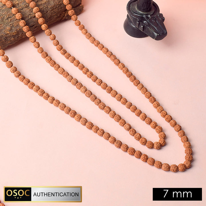 108 Beads Pathariya Rudraksh Mala for Japa and Spiritual Protection. India’s Premium Rudraksha Jap Mala Store- www.satvikworld.com