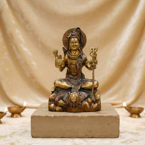 13.5 Inch Elegant Lord Shiva Sculpture