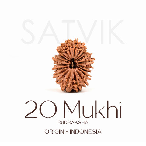 Certified 20 Mukhi Rudraksha Bead – Indonesia origin divine bead symbolizing Lord Brahma, enhances creativity, wisdom, and spiritual consciousness. India’s Largest Brass Idols Brand - www.satvikworld.com