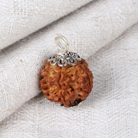 5 Mukhi Rudraksha Pendant with Design Silver Cap