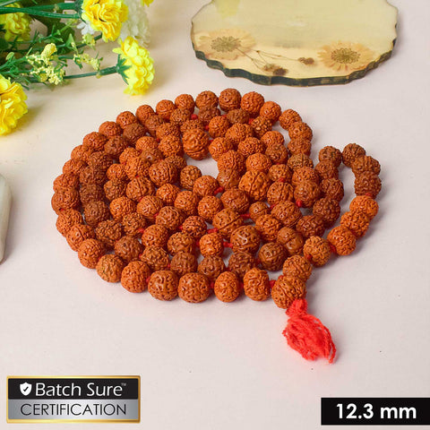 108 Dana Rudraksha Mala – Authentic Spiritual Beads