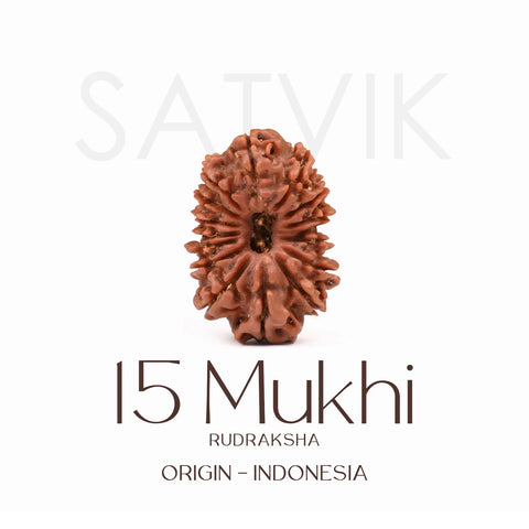 Certified 15 Mukhi Rudraksha Bead from Indonesia – Sacred natural bead representing Lord Pashupatinath, known for emotional healing, love, and spiritual elevation. India’s Largest Brass Idols Brand - www.satvikworld.com