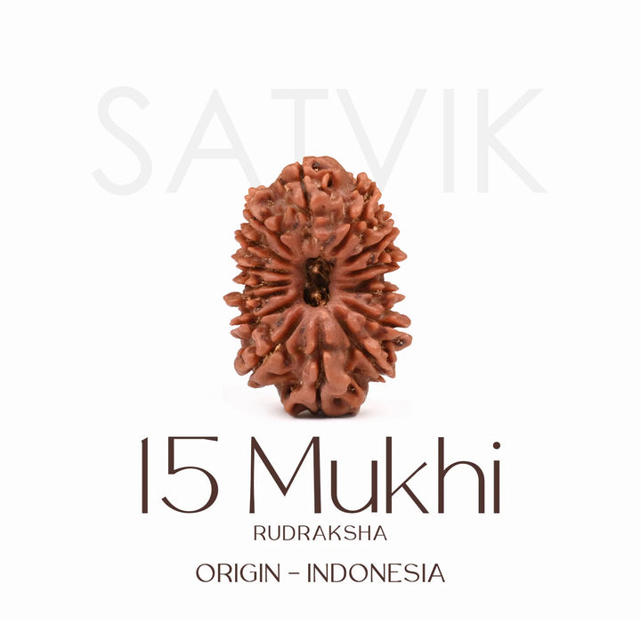 Certified 15 Mukhi Rudraksha Bead from Indonesia – Sacred natural bead representing Lord Pashupatinath, known for emotional healing, love, and spiritual elevation. India’s Largest Brass Idols Brand - www.satvikworld.com