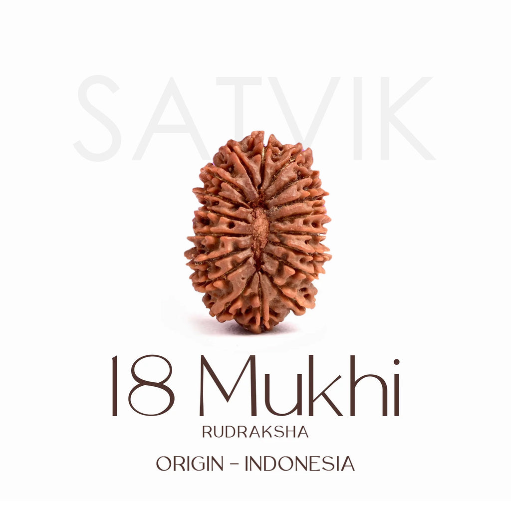 Certified 18 Mukhi Rudraksha Bead – Indonesia origin divine bead representing Goddess Bhumi Devi, known for enhancing stability, prosperity, and protection from negative energies.India’s Largest Brass Idols Brand - www.satvikworld.com