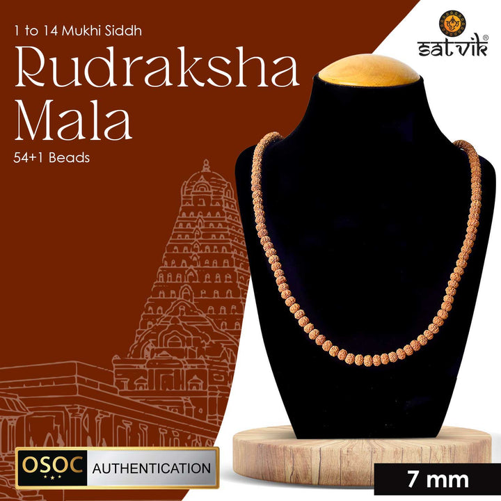 Certified 1 to 14 Mukhi Siddh Rudraksha mala for complete spiritual benefits, chakra alignment, and divine energy balance. India’s Premium Jap Mala Store - www.satvikworld.com