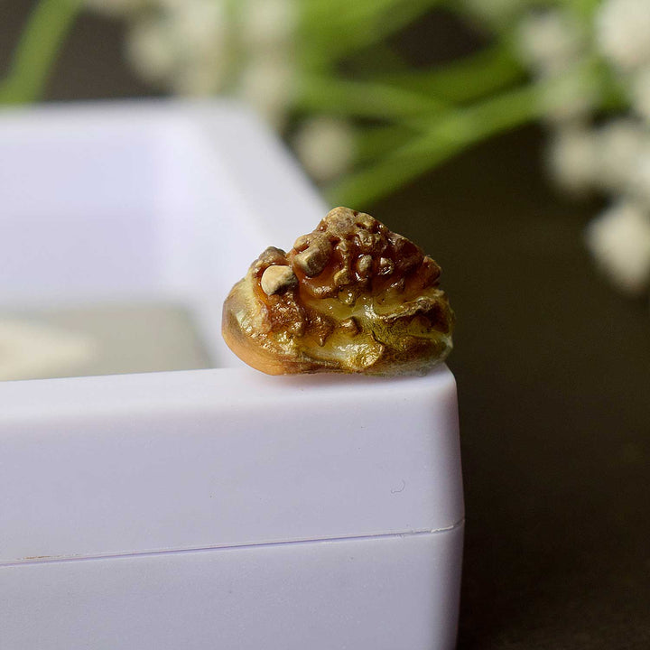 Golden Chander Mandi Machmadi used in Hindu rituals for protection and divine blessings. India’s Largest Pooja Accessories Brand www.satvikworld.com
