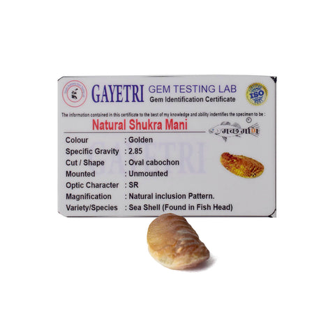 Golden Shukra Mani (Machh Mani) placed on a silver cloth with pooja items, used in rituals for Venus blessings, love, and prosperity. India’s Largest Pooja Accessories Brand - www.satvikworld.com
