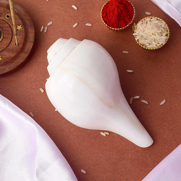 Natural 100% Original Vamavarti Shankha 8 Inch Blowing Conch for Pooja. India’s Largest Pooja Accessories Brand - www.satvikworld.com