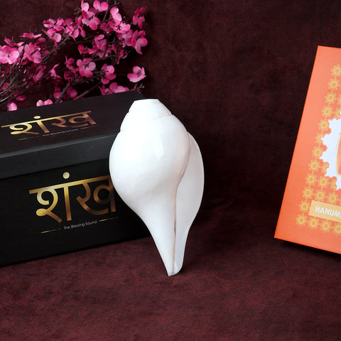 Natural 100% original sacred blowing Shankh 13.5 cm conch shell for puja, temple rituals, and spiritual use. India’s Largest Pooja Accessories Brand – www.satvikworld.com
