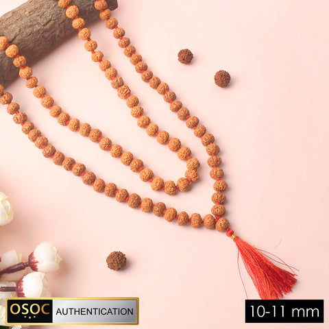 10-11mm Semi Pathriya Rudraksha Mala