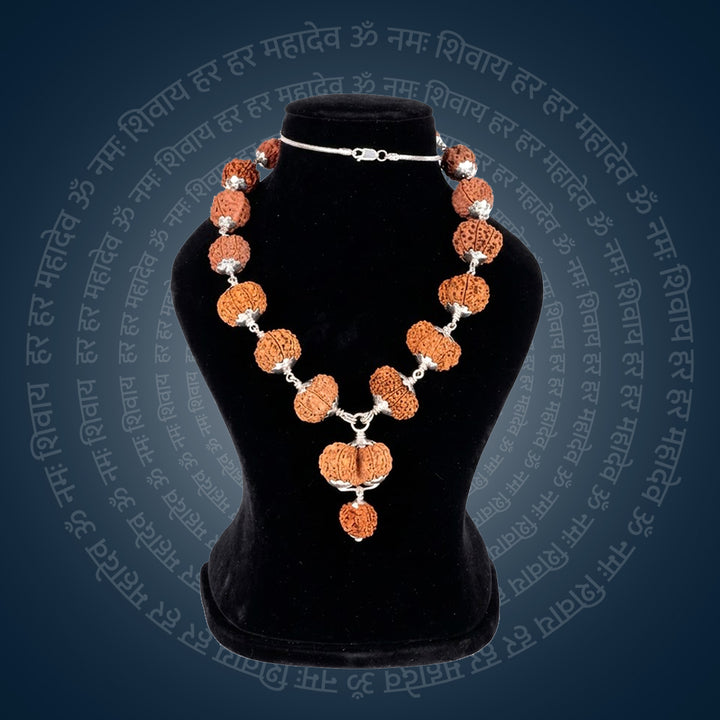 Siddha Mala with 1 Mukhi Sawar Nepal collector grade silver chain Rudraksha mala. India’s Premium Rudraksha Jap Mala Brand - www.satvikworld.com