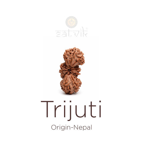 Trijuti Rudraksha bead natural Nepali rare three joined Rudraksha. India’s Premium Rudraksha Beads Brand - www.satvikworld.com