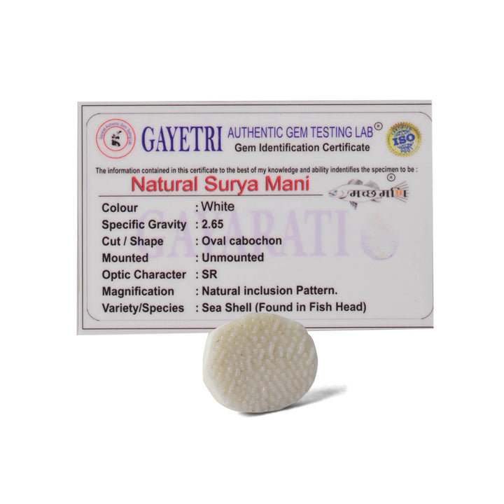 White Surya Mani (Machh Mani) stone placed on a red pooja cloth with diya and sacred items, used for Surya sadhana and spiritual strength. India’s Largest Pooja Accessories Brand - www.satvikworld.com
