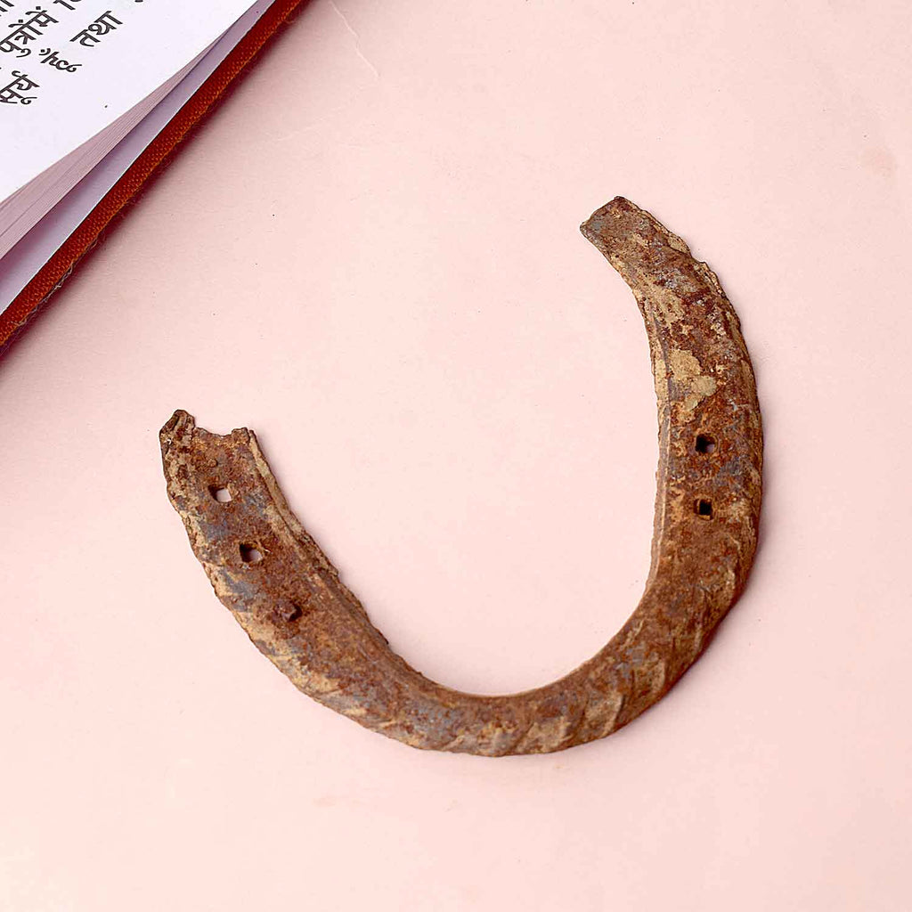 Kale Ghode Ki Naal for vastu dosh and evil eye protection – India’s Largest Pooja Accessories Brand – www.satvikworld.com